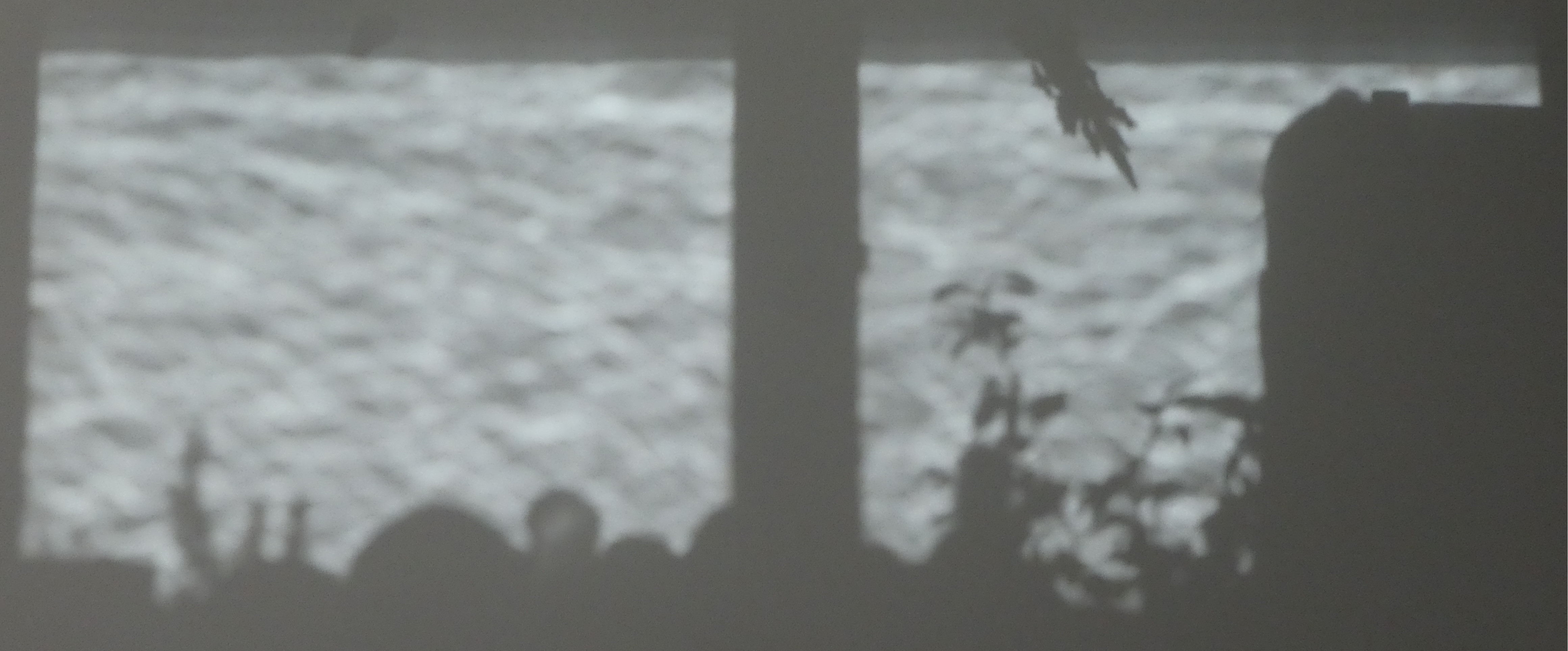 [Lichtspiele]